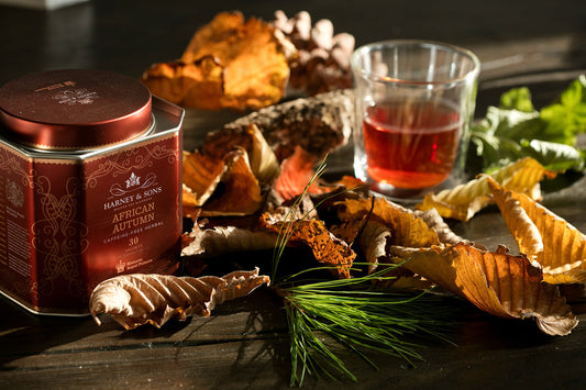 Harney and Sons HRP African Autumn - Tin - 30 Silken Sachet - Vooco SG, Singapore